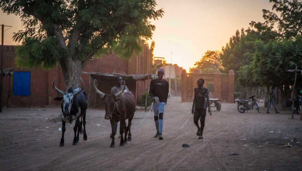 Driving down the road in Segou