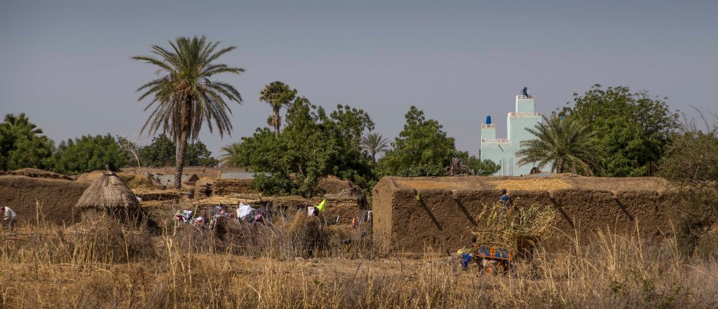Malian mud village