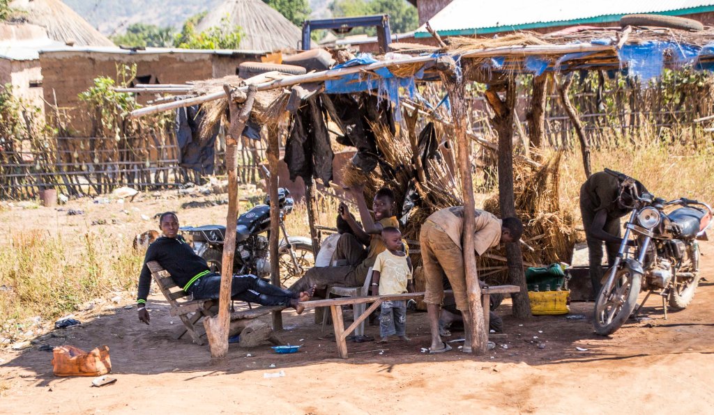 Chilling in the shade
