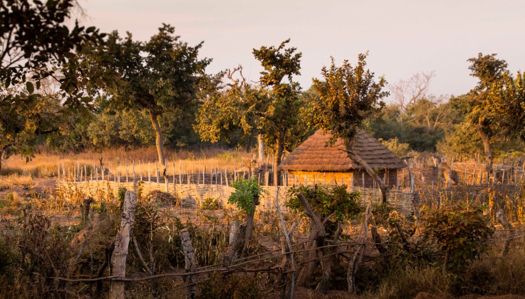 Senegalese village house