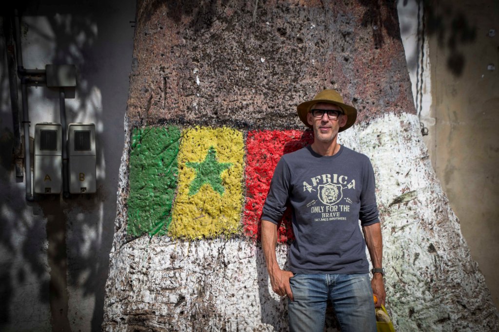 Senegalese flag on a tree