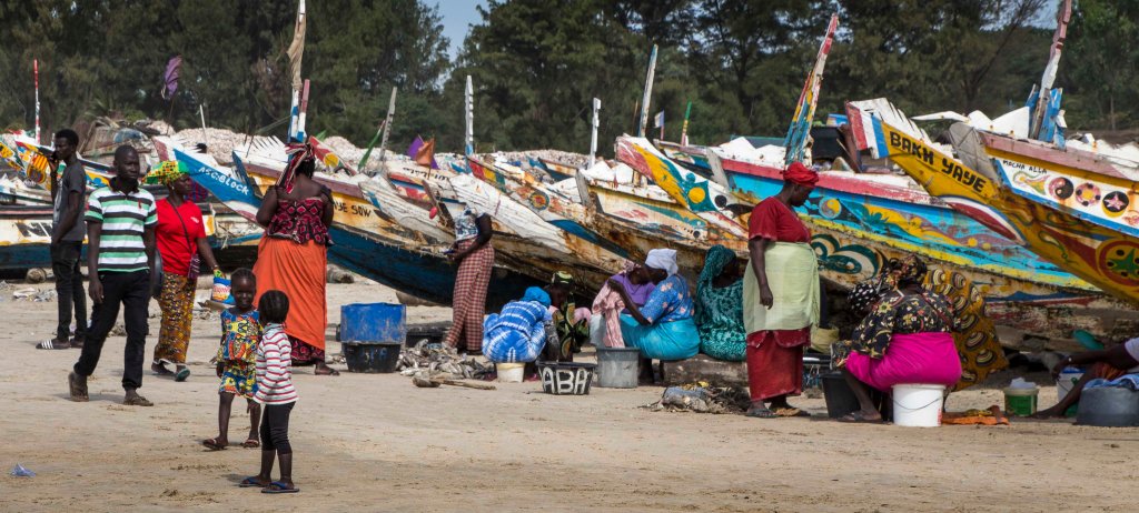 Ladies sorting and preparing fish