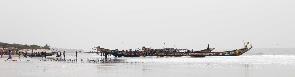 Senegalese pirogues