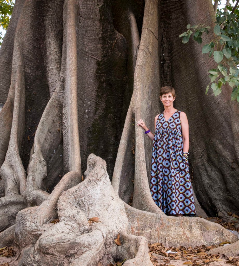 Fabulous tree in Oussouye