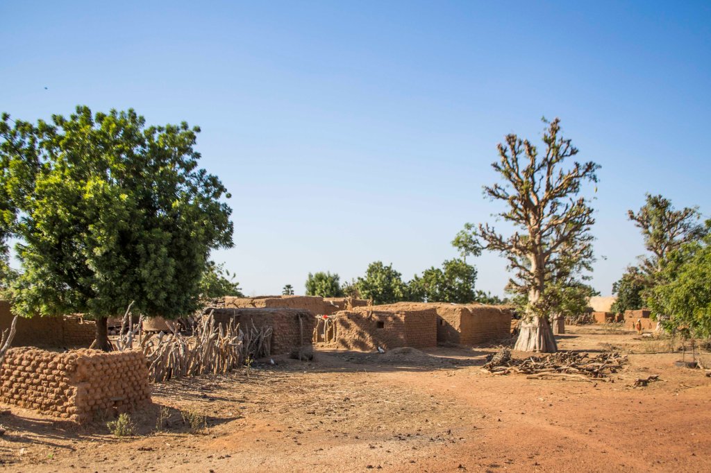 Baobab in Malian mud village