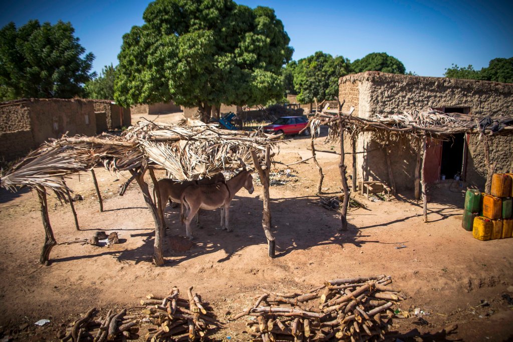 Seeking respite from the sun