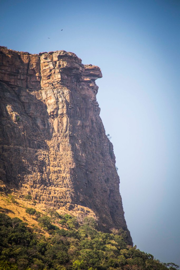 "Dame de Mali" in Guinea