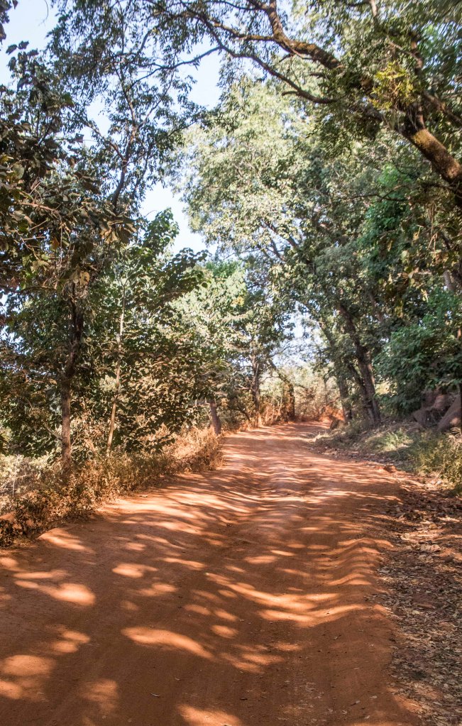 25km gravel mountain pass on National Road 5 in Guinea