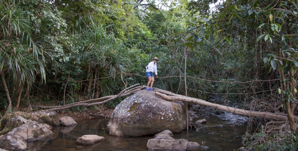 Trail to Ditinn falls