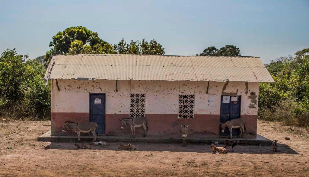 Donkeys and goats hiding from the sun